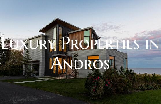 Luxury Properties in Andros